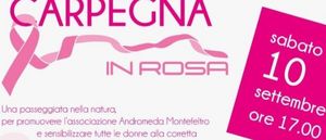 Carpegna in rosa 2022 home