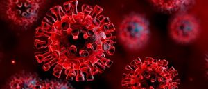 coronavirus rosso 550h