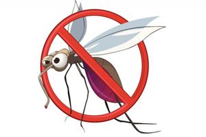 Disinfestazione zanzare