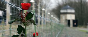 giorno della memoria