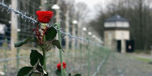 giorno della memoria